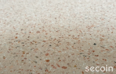 Shot Blasted Terrazzo